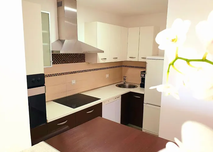 Luxury With Jacuzzi And Swimming Pool