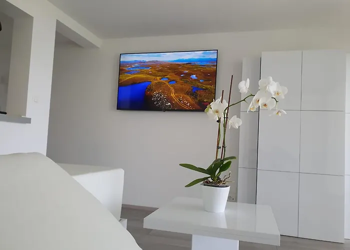 Willa Luxury With Jacuzzi And Swimming Pool Opatija